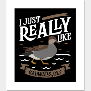 I just really like Gadwalls Posters and Art